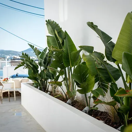 Apartment Short Lemon Tree Naxos City