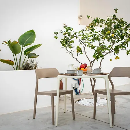 Short Lemon Tree Apartment Naxos City